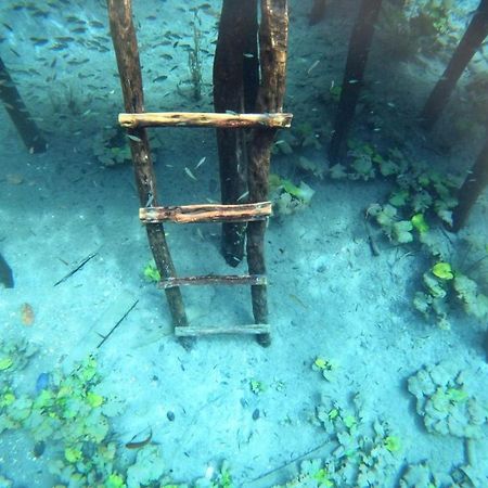 Hotel Colibri Peten فلوريس المظهر الخارجي الصورة