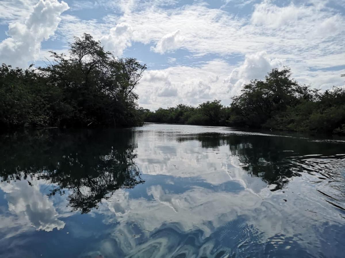 Hotel Colibri Peten فلوريس المظهر الخارجي الصورة